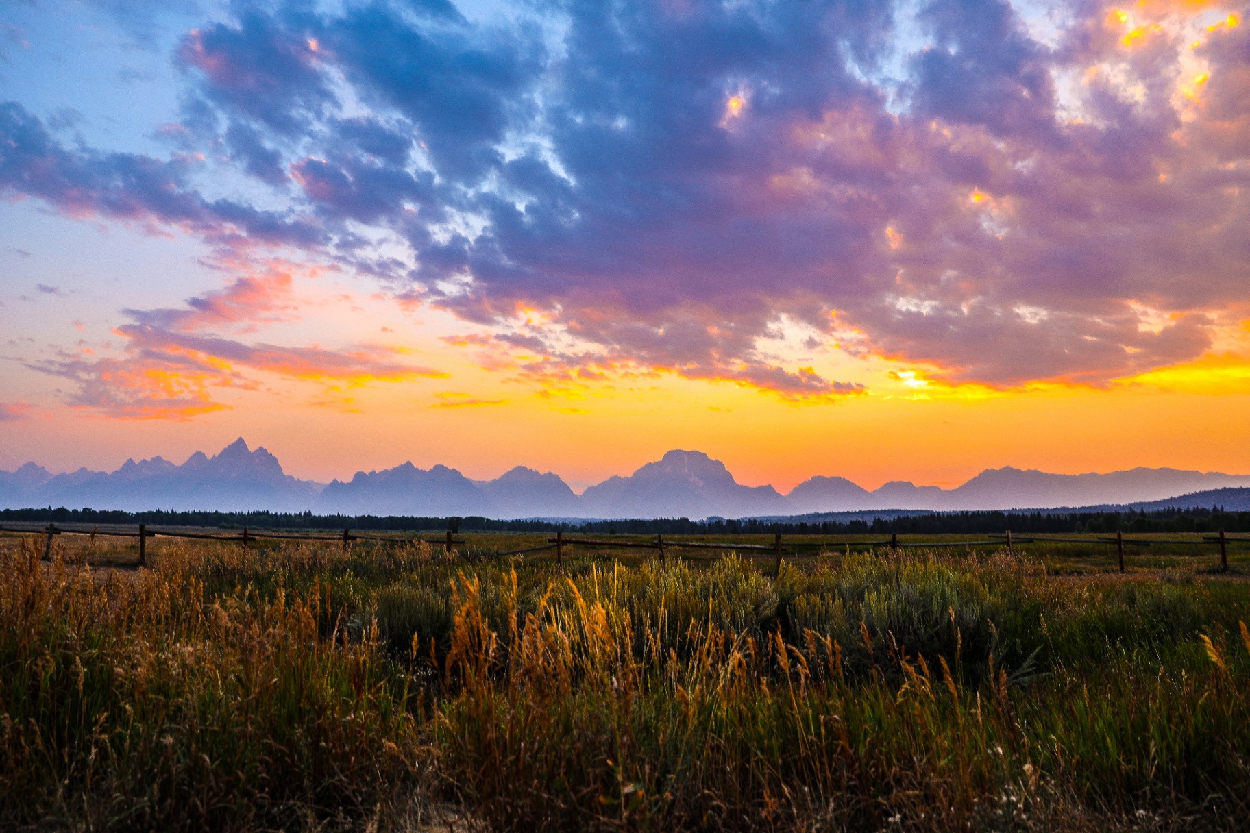 Golden hour sunset over the Teton mountain range with prairie grasses in the foreground
